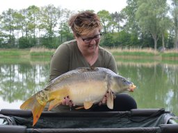 Competities HSV Alfheim